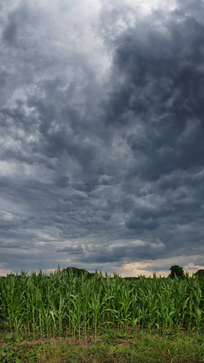 wetter2.jpg