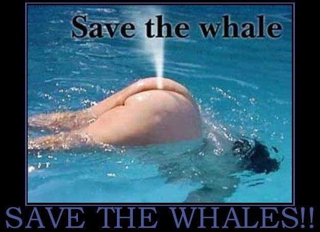 whales.jpg