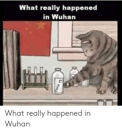 what-really-happened-in-wuhan-72382048.png