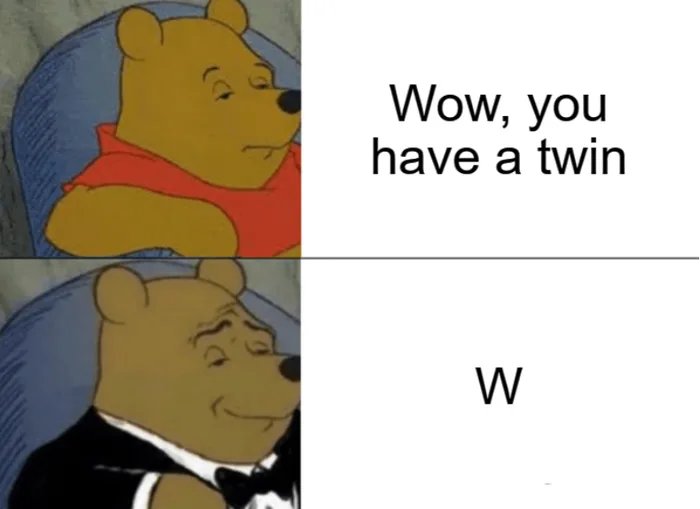 What-to-say-to-twins.jpg
