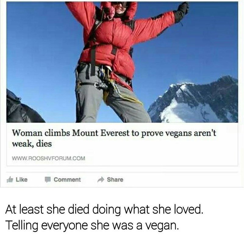 WhatsApp Image 2019-01-25 at 03.49.56.jpeg