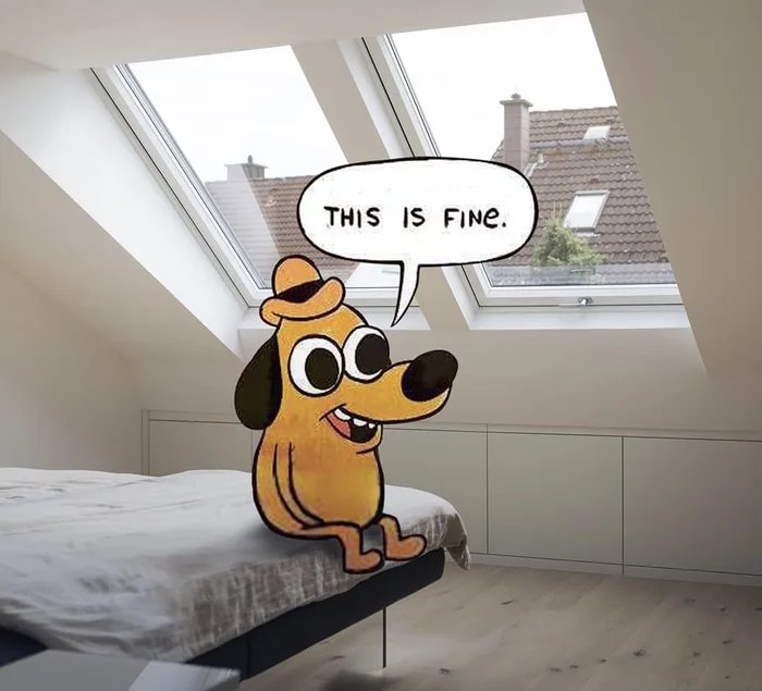 When-you-live-in-an-attic-apartment-and-the-heat-wave-is-coming-1688989807343.jpg