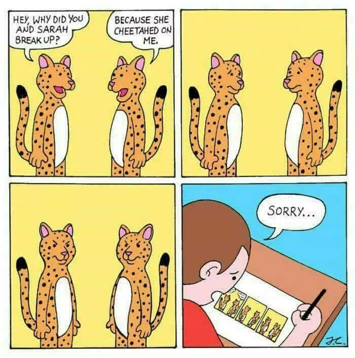 When-youre-a-cheetah-but-she-always-lion.jpg