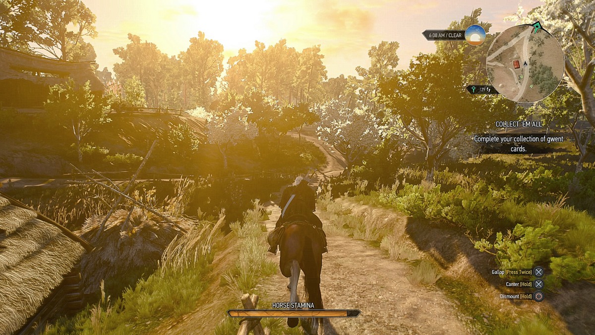 White Orchard_20.jpg