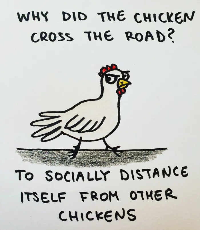 Why-did-the-chicken-cross-the-road.jpg