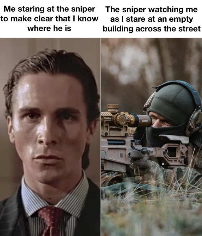 Why-do-you-have-a-sniper-on-tail-1720387533181.jpg