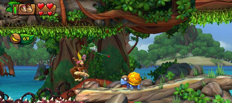 WiiU_DKCTF_Jan_04new.jpg