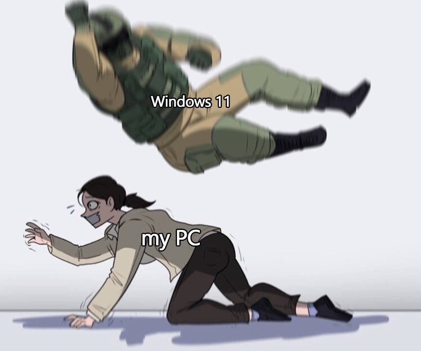 windows 11.jpg