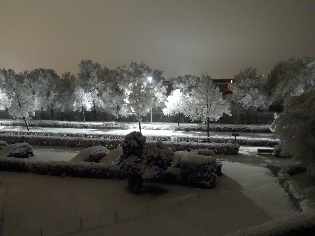 Winter (6).jpg