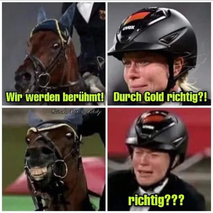 Wir-werden-nach-der-Olympiade-berhmt-sein-sagte-das-Pferd-zu-seiner-Reiterin.jpg