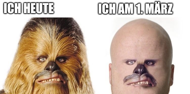 wookie friseur.jpg