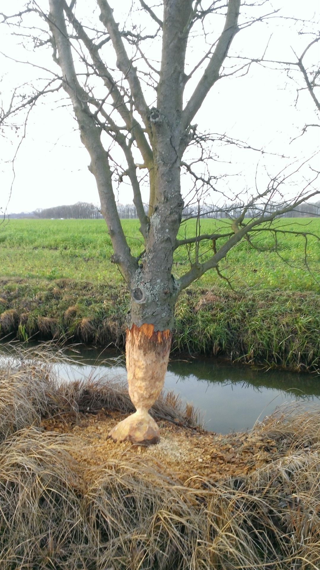 WP_20131222_001.jpg
