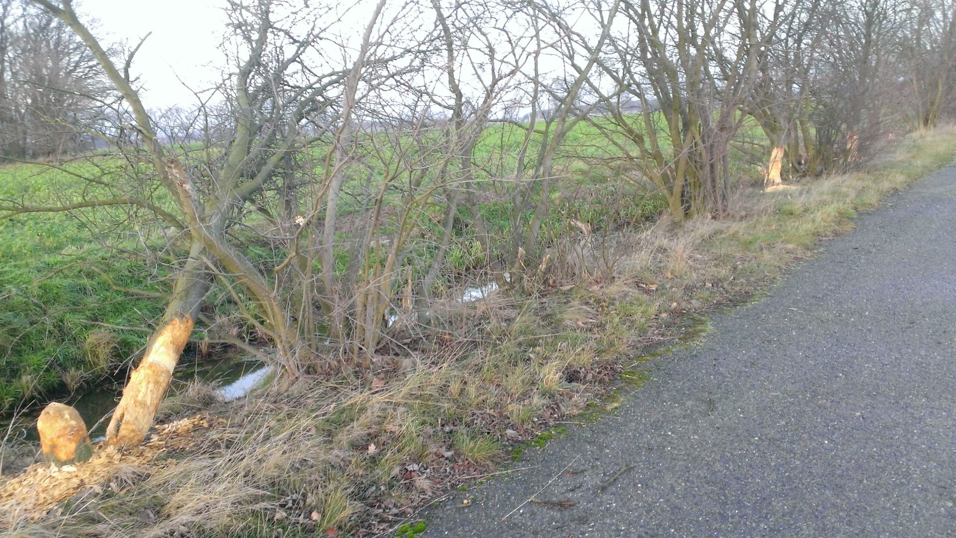 WP_20131222_002.jpg