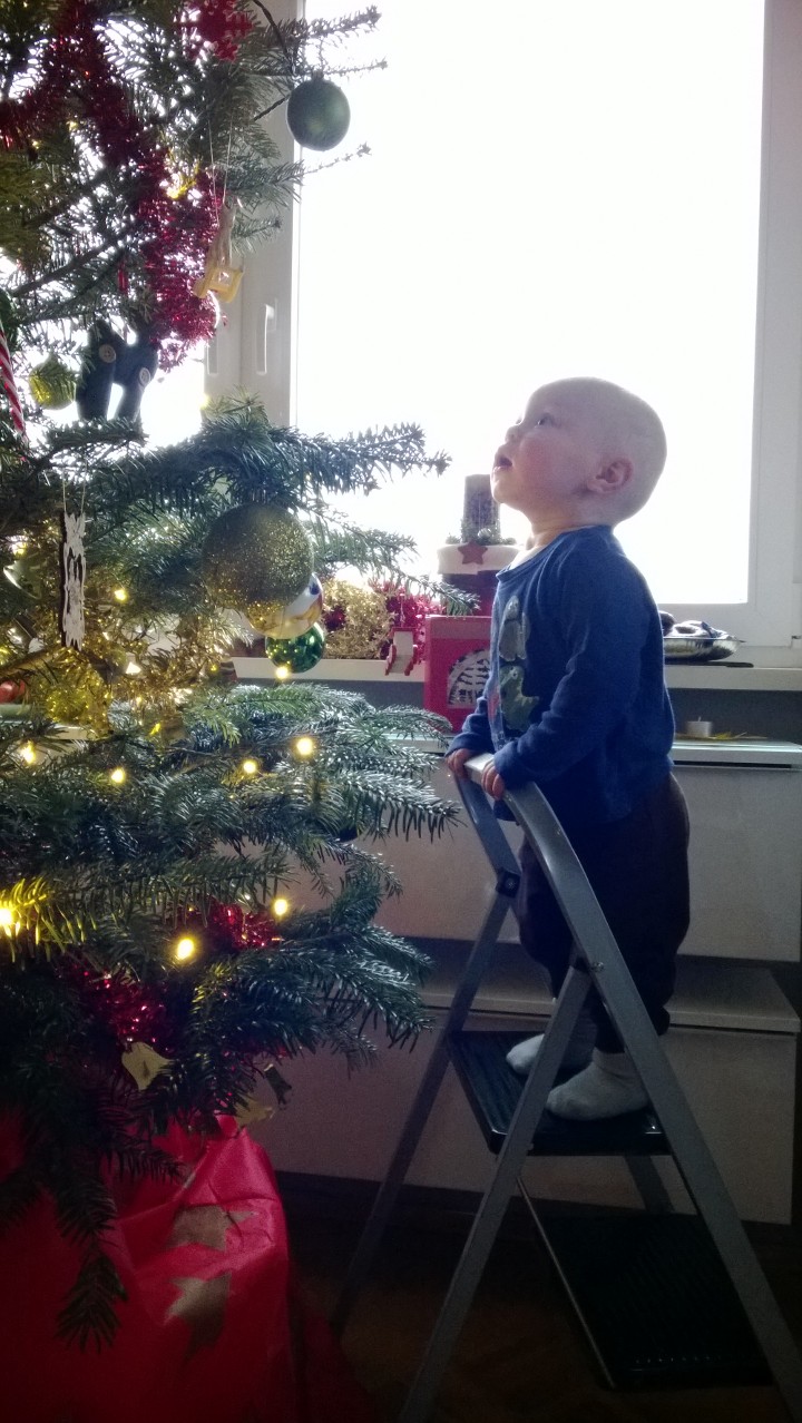 WP_20131222_007.jpg