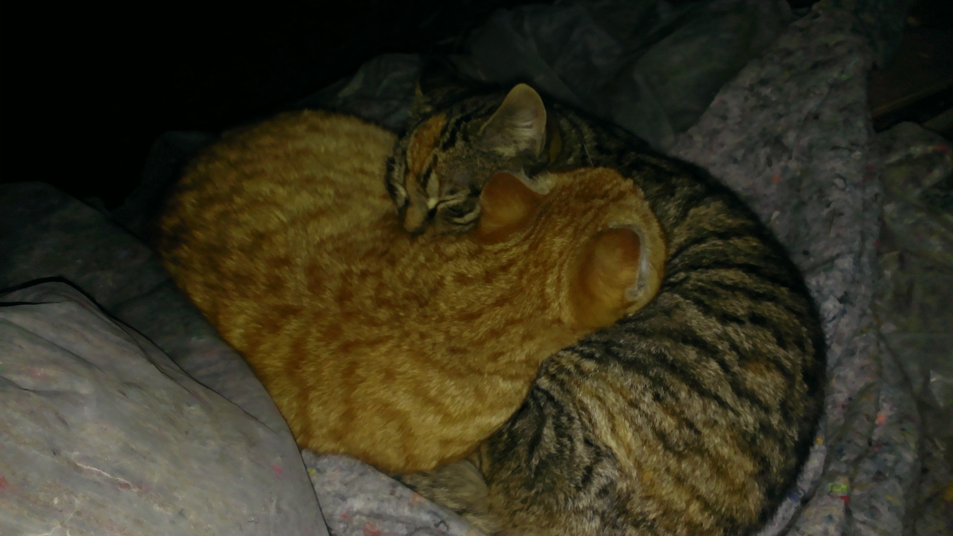 WP_20140112_015.jpg