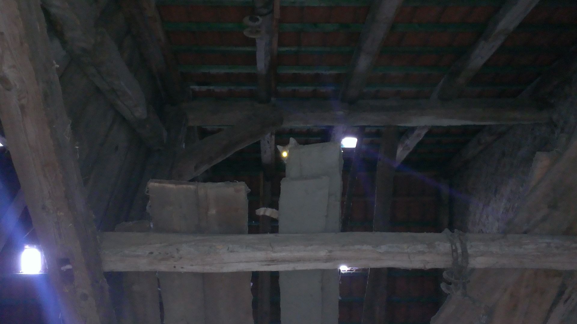 WP_20140306_005.jpg