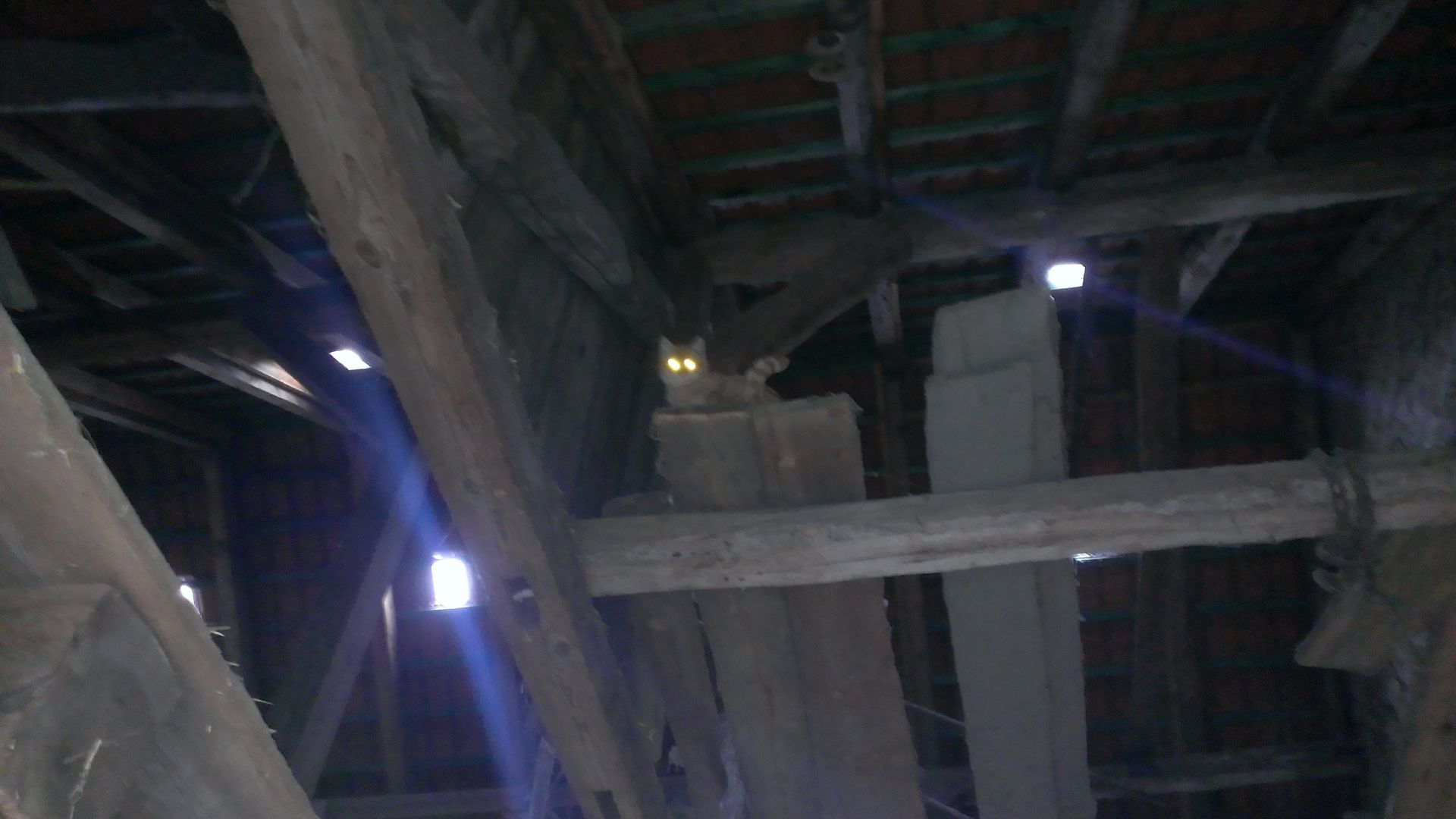 WP_20140306_007.jpg