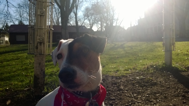WP_20140309_010 (640x360).jpg