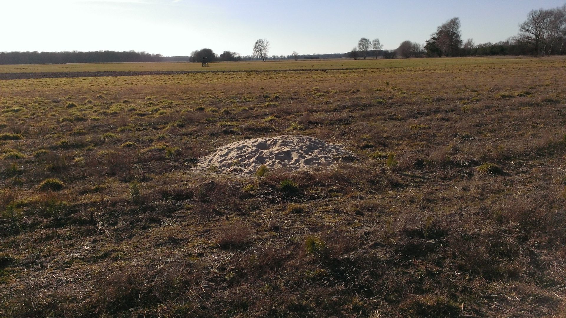 WP_20140312_005.jpg
