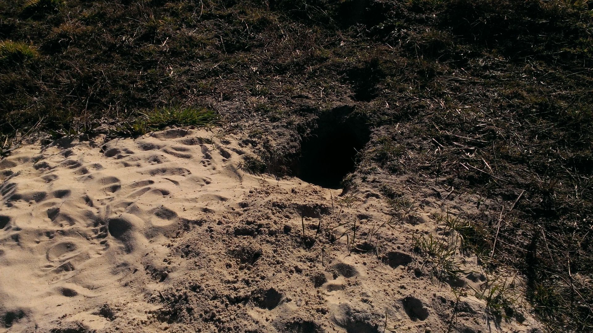 WP_20140312_006.jpg