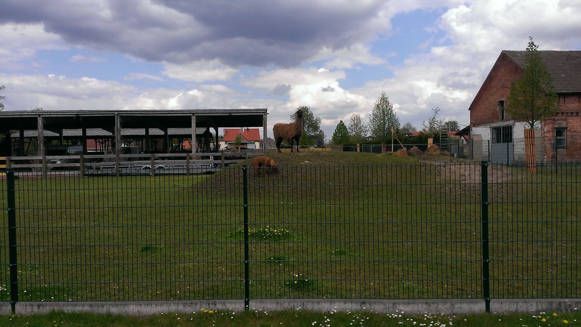 WP_20140421_003.jpg