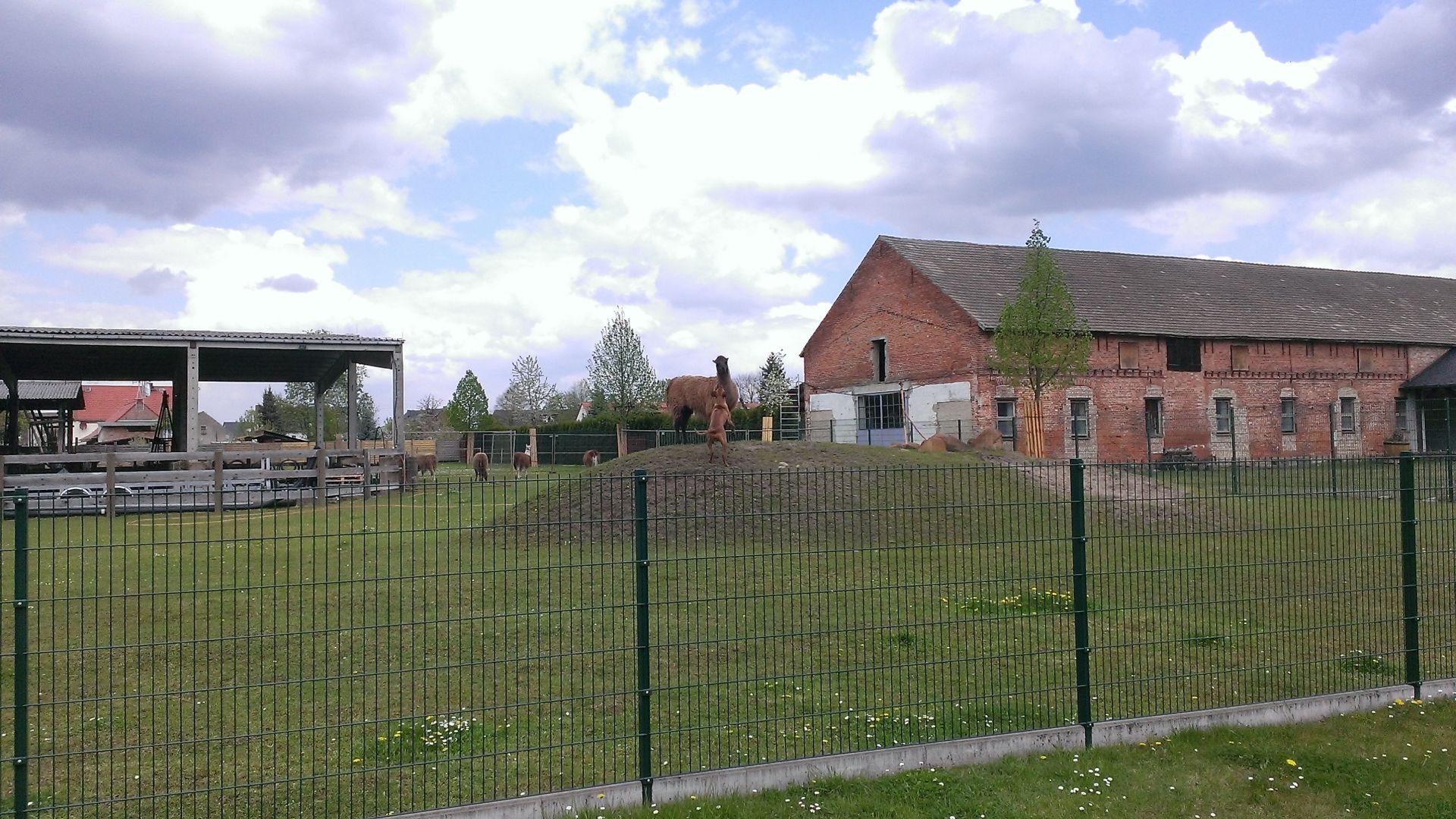 WP_20140421_004.jpg