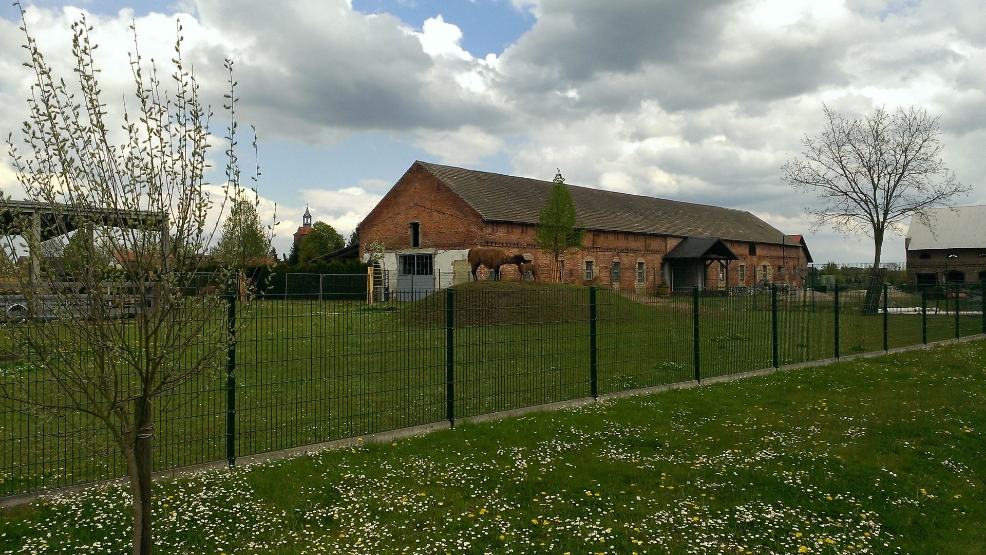 WP_20140421_005.jpg