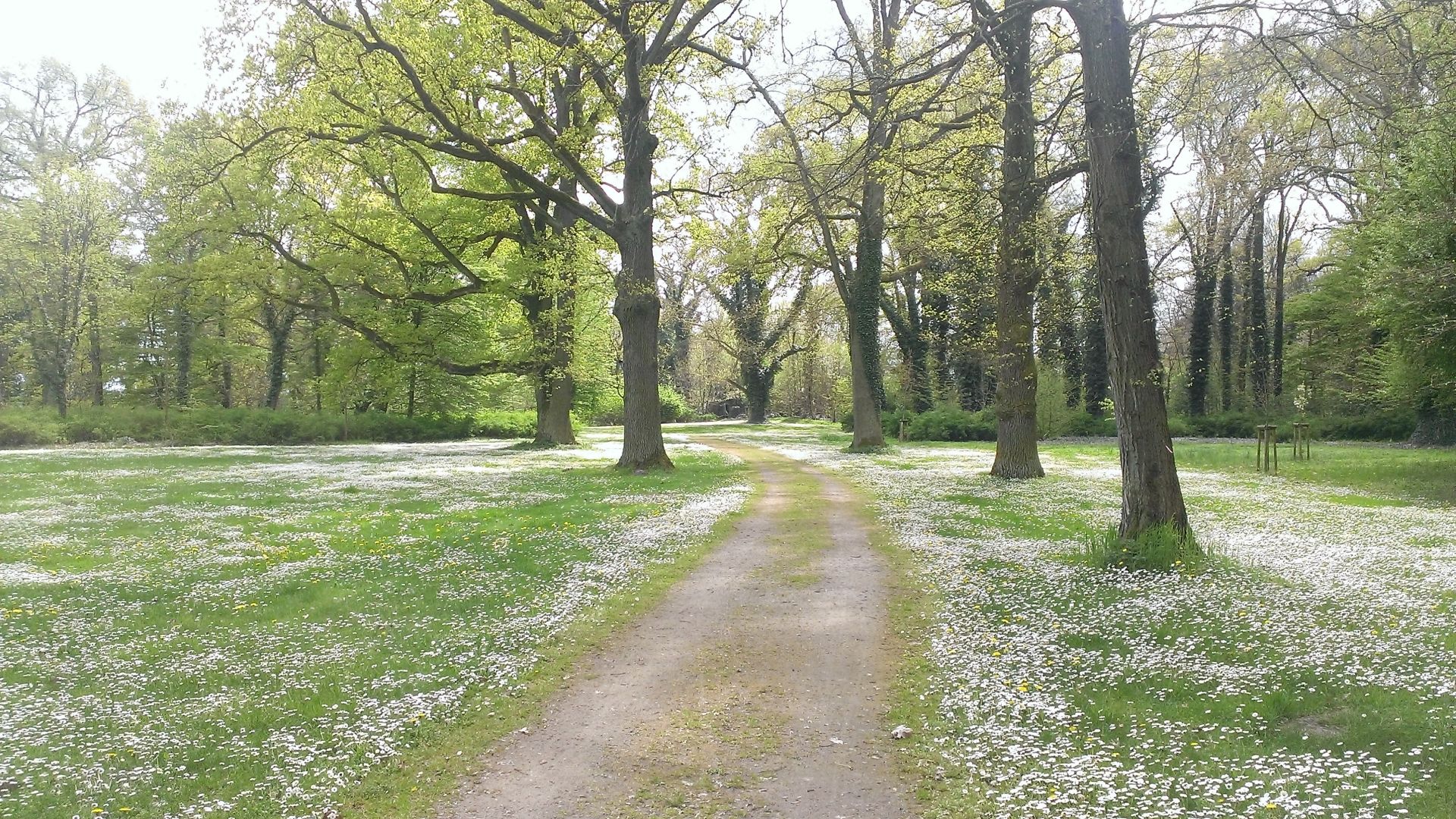 WP_20140421_006.jpg