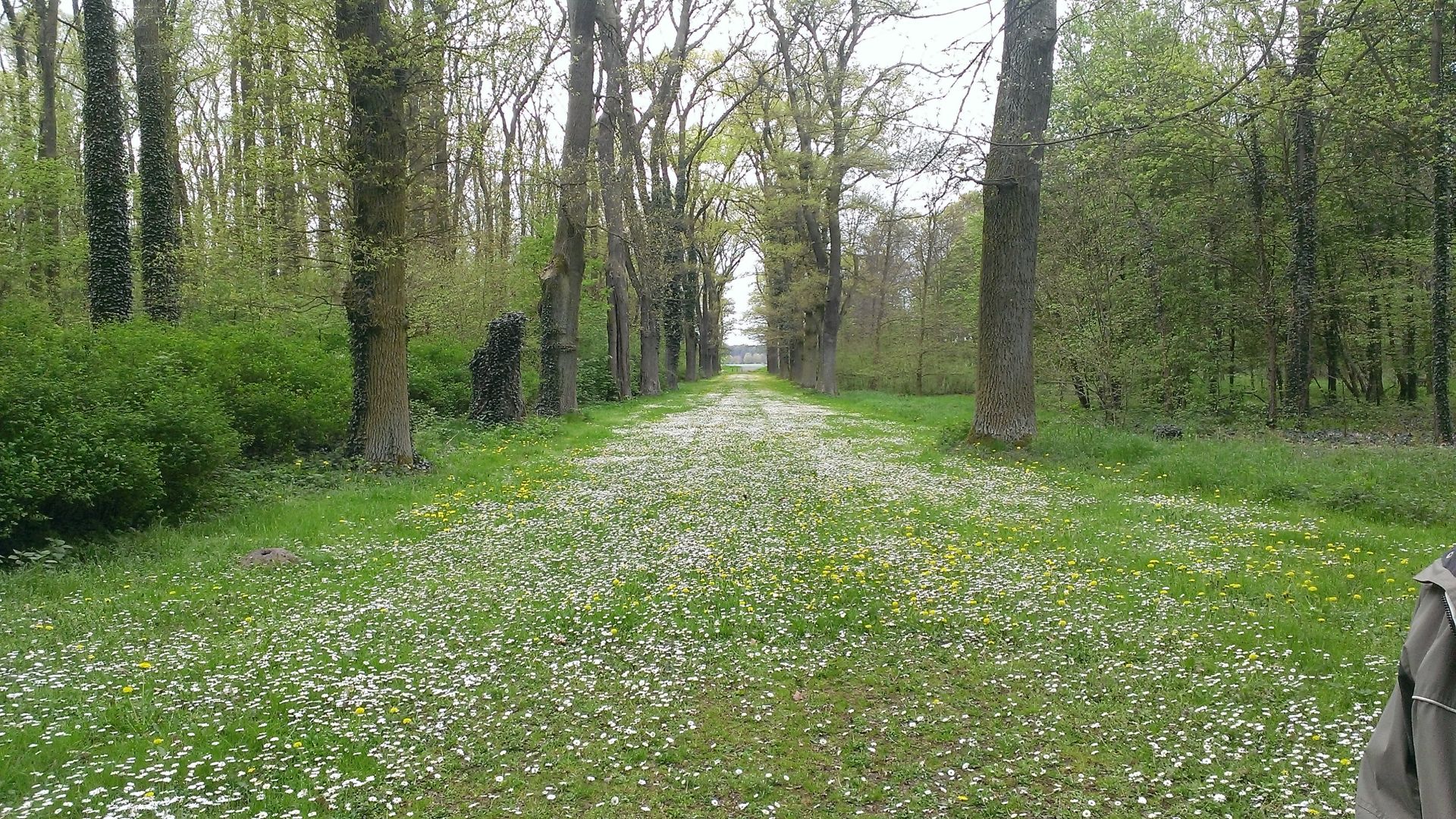 WP_20140421_007.jpg