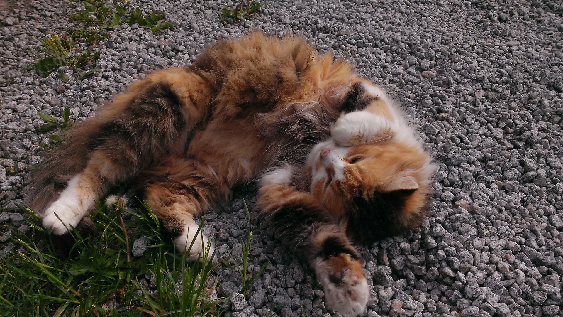WP_20140501_003.jpg