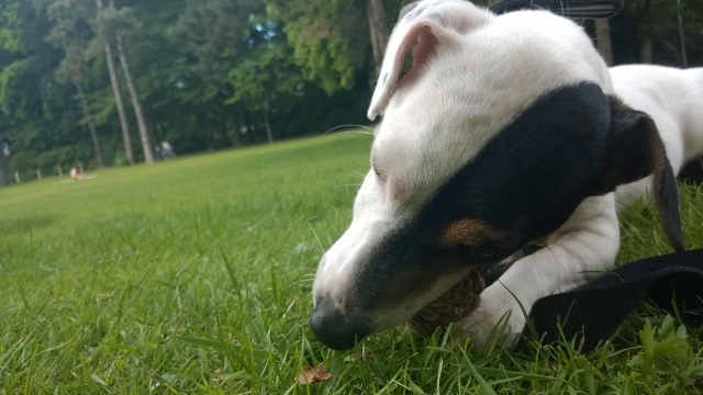 WP_20140520_011 (640x360).jpg