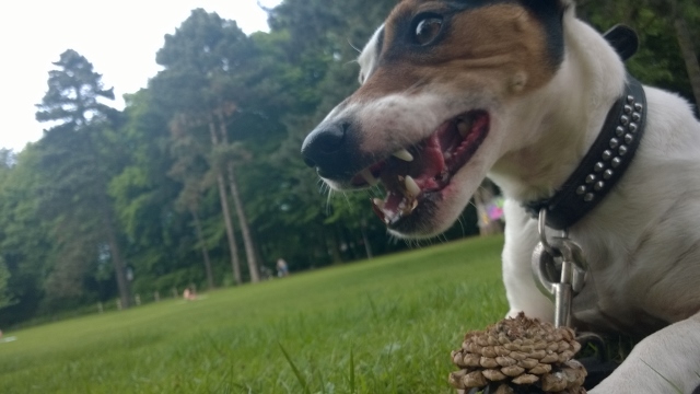 WP_20140520_012 (640x360).jpg