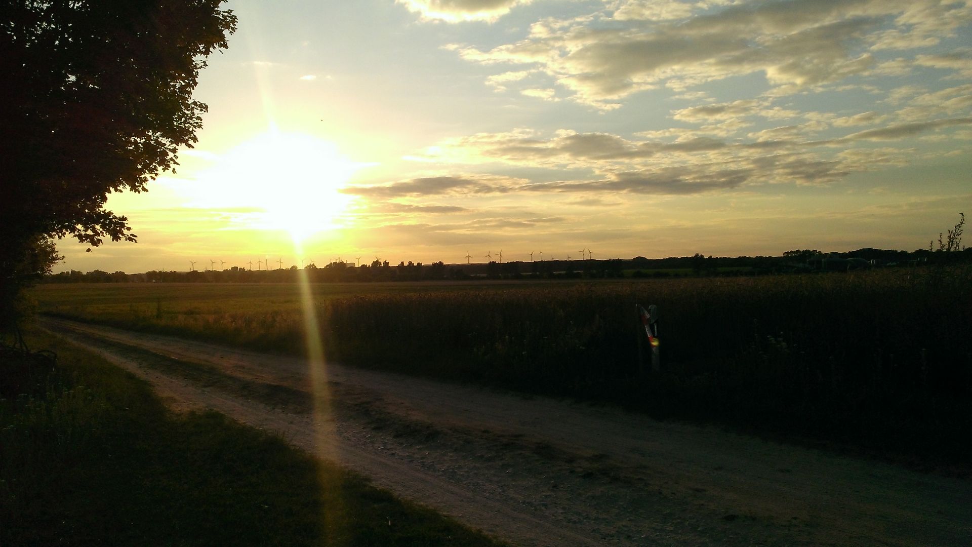 WP_20140702_004.jpg