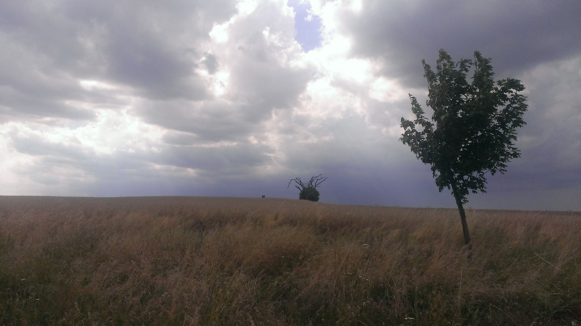 WP_20140713_008.jpg
