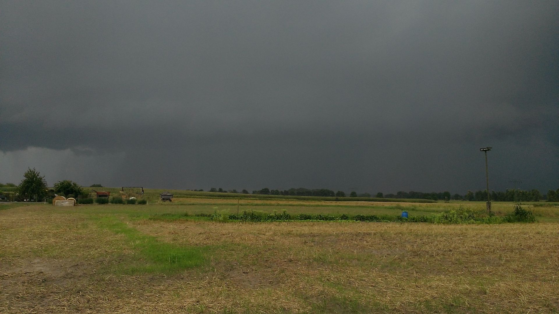 WP_20140803_002.jpg