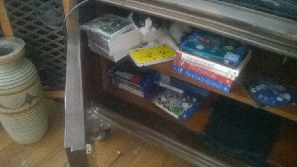 WP_20140807_002.jpg