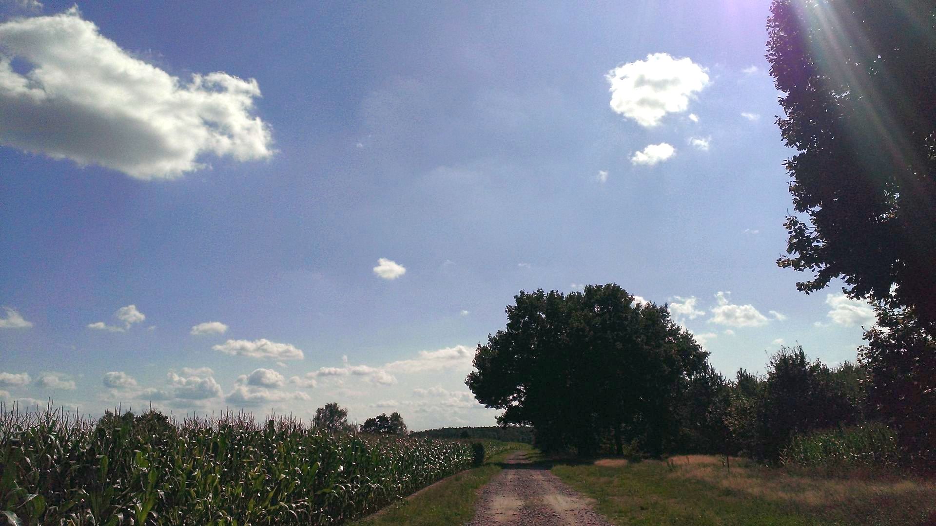 WP_20140814_008.jpg