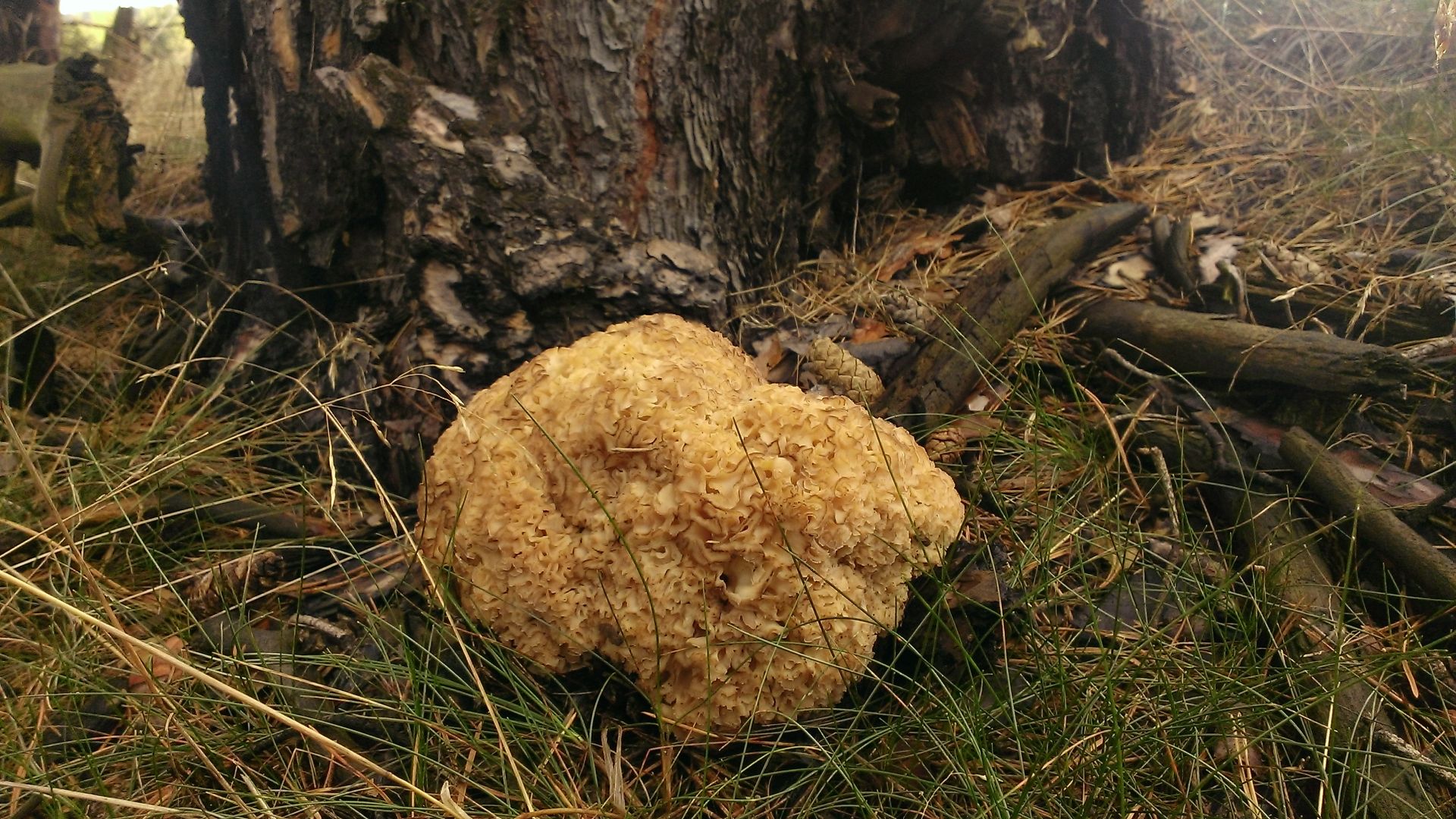 WP_20140902_002.jpg
