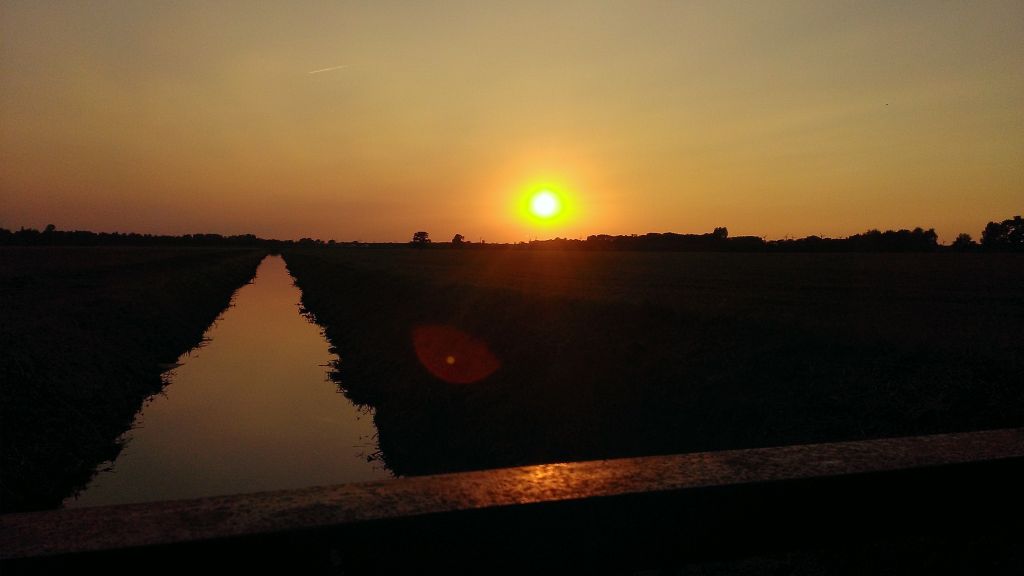 WP_20140903_005.jpg