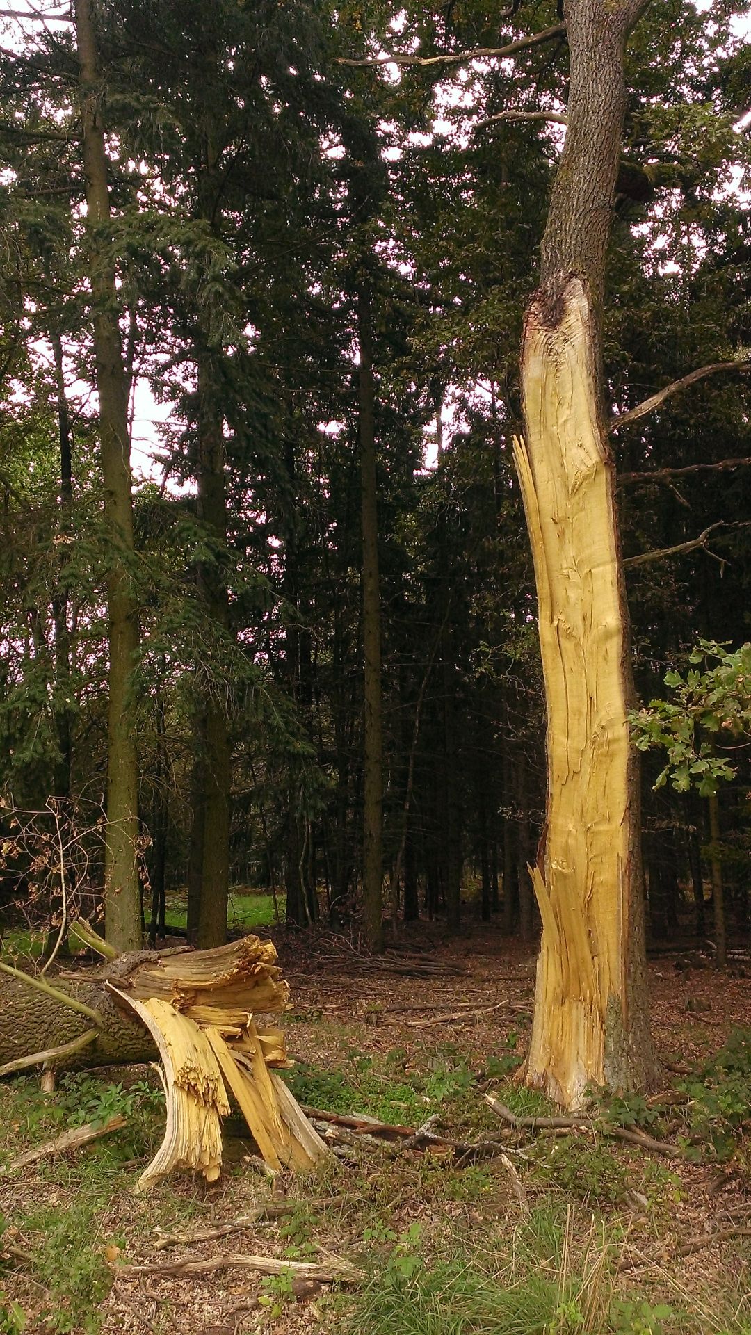 WP_20140909_001.jpg