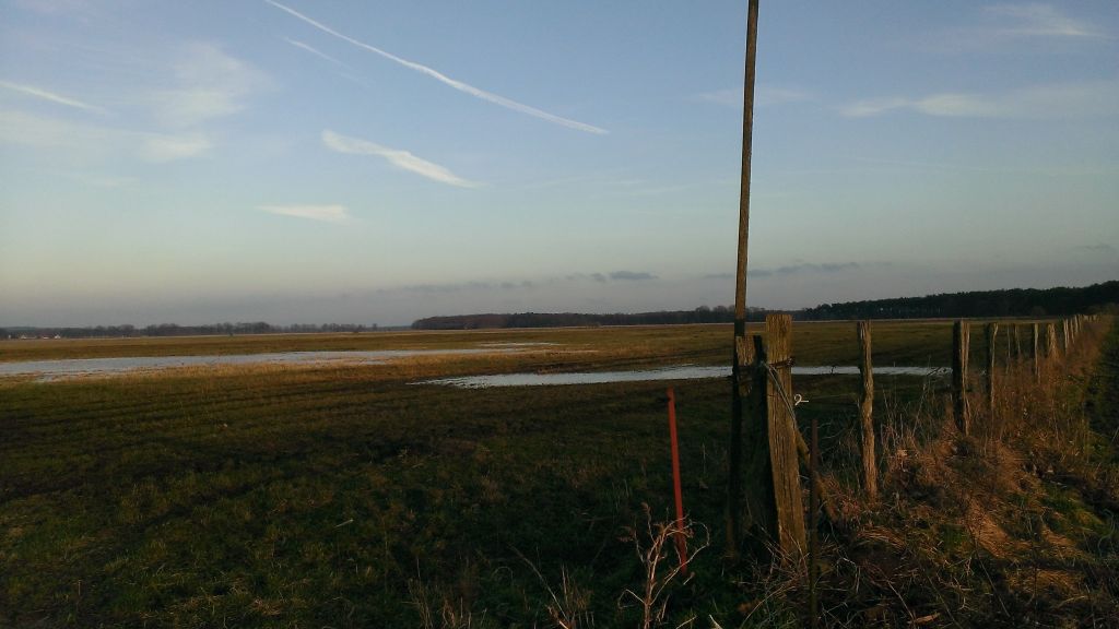 WP_20150118_002.jpg