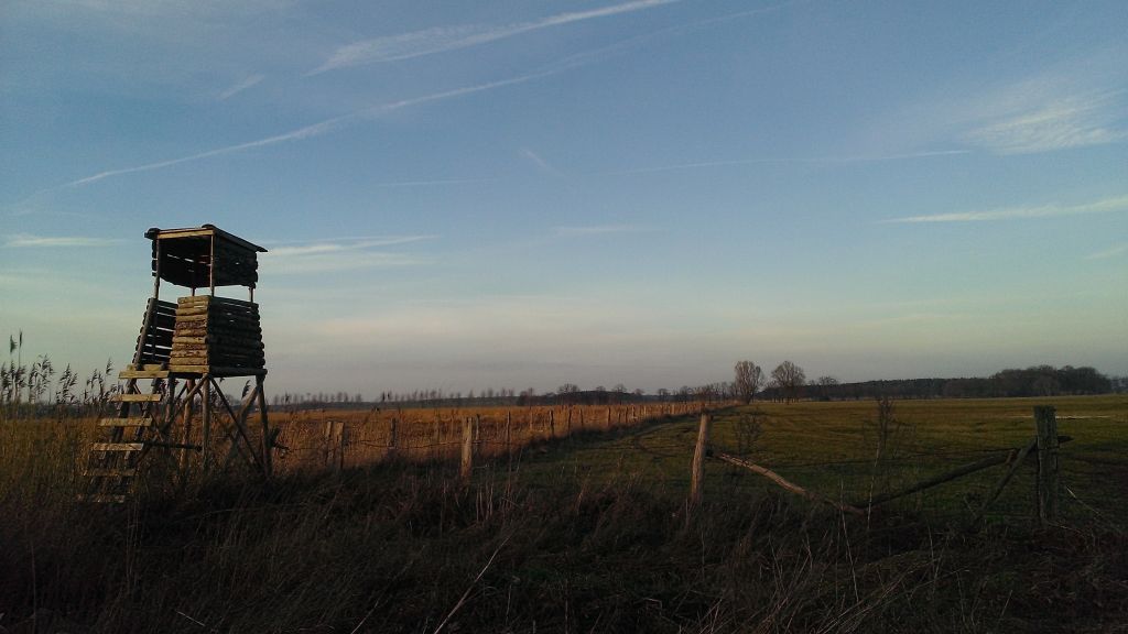 WP_20150118_004.jpg