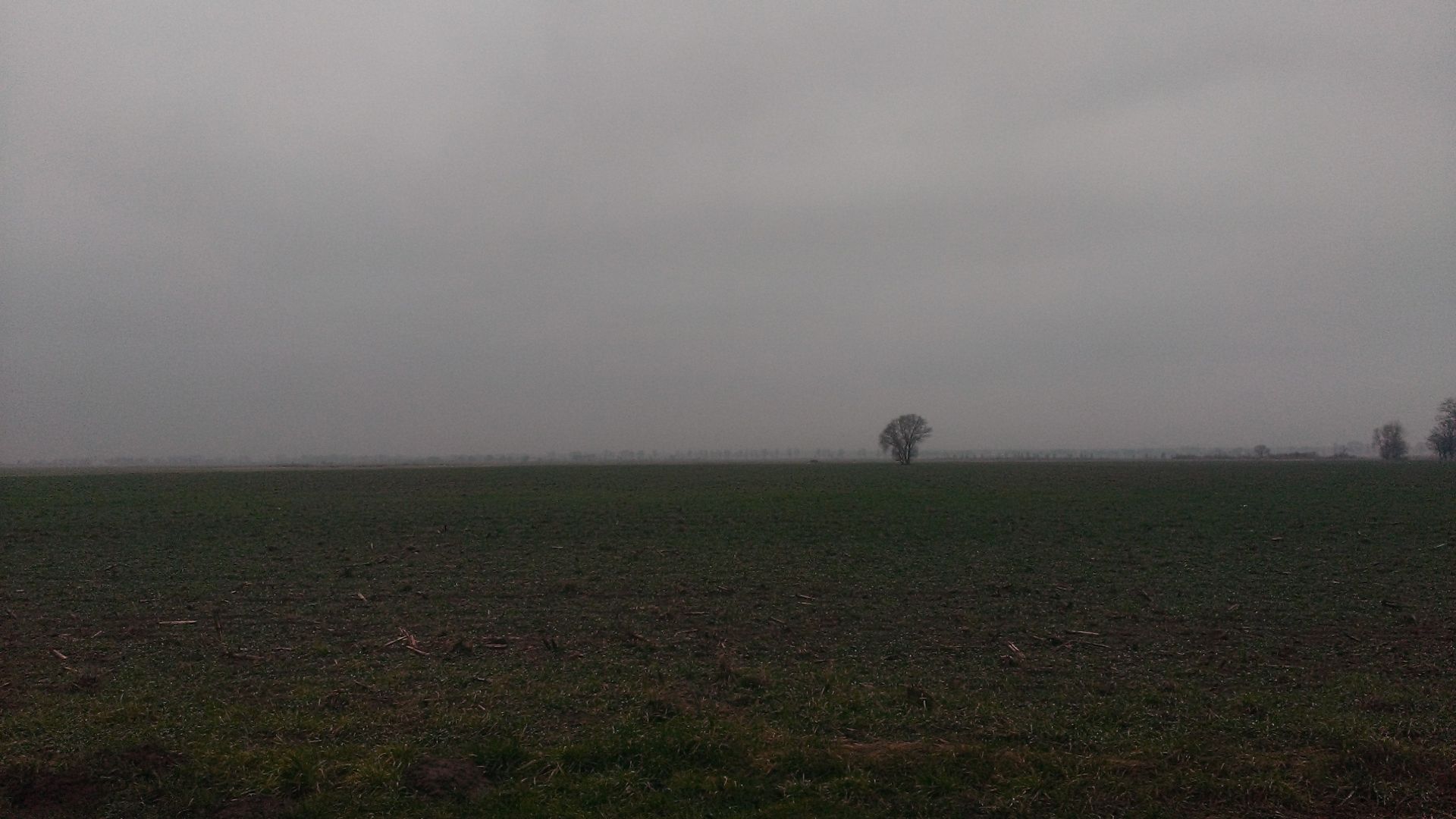 WP_20150119_006.jpg