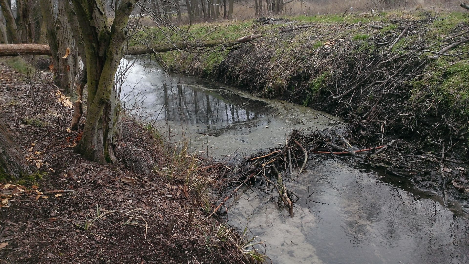 WP_20150216_010.jpg