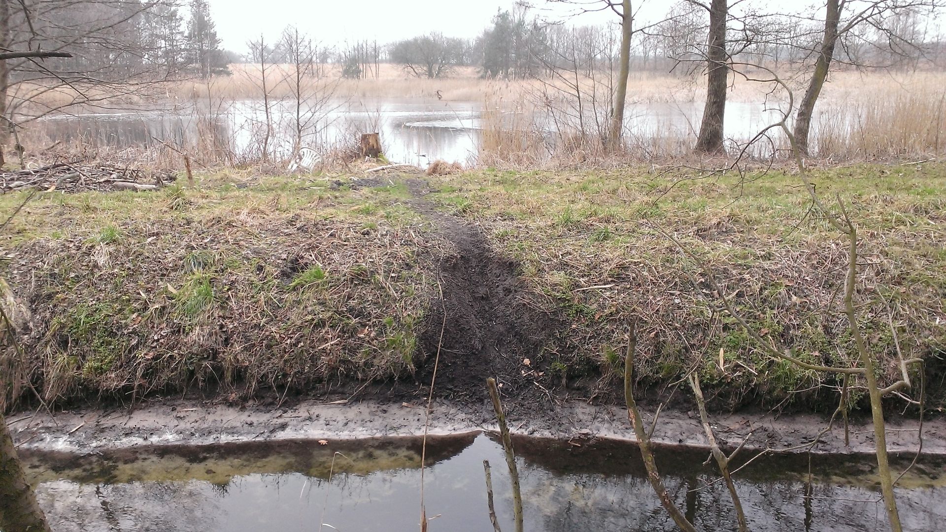 WP_20150216_011.jpg