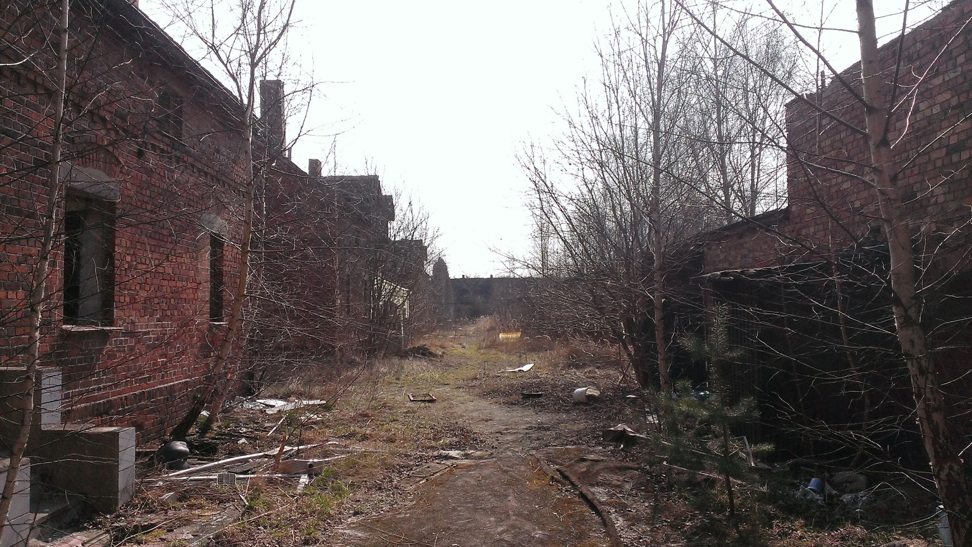 WP_20150324_003.jpg