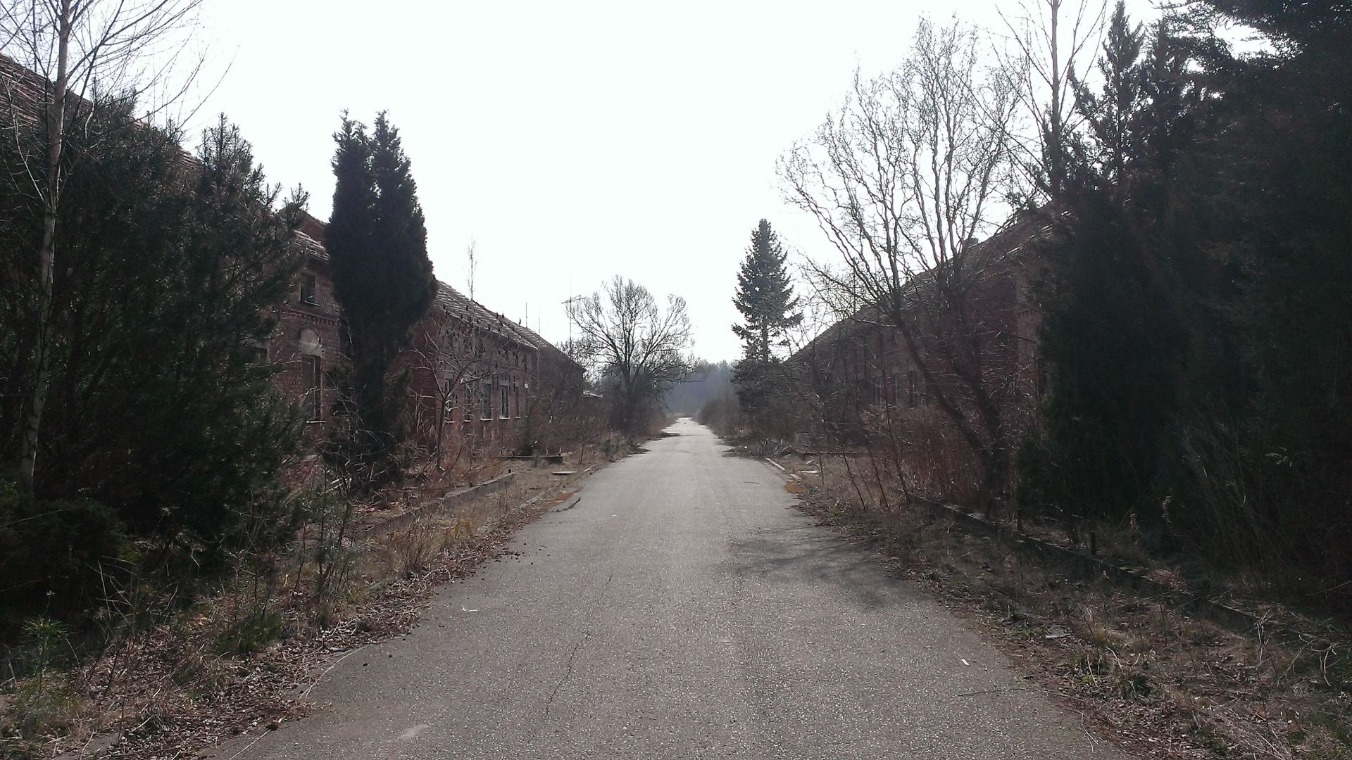 WP_20150324_004.jpg