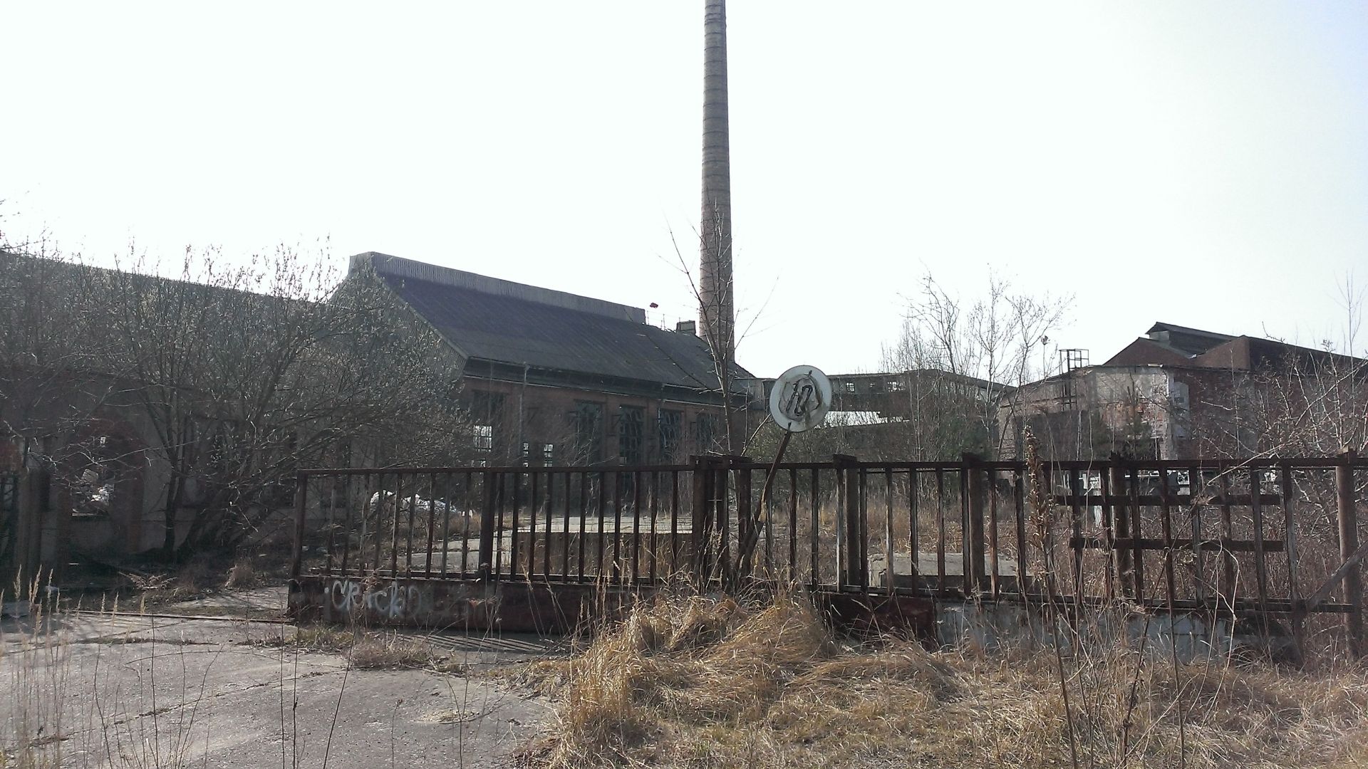 WP_20150324_010.jpg