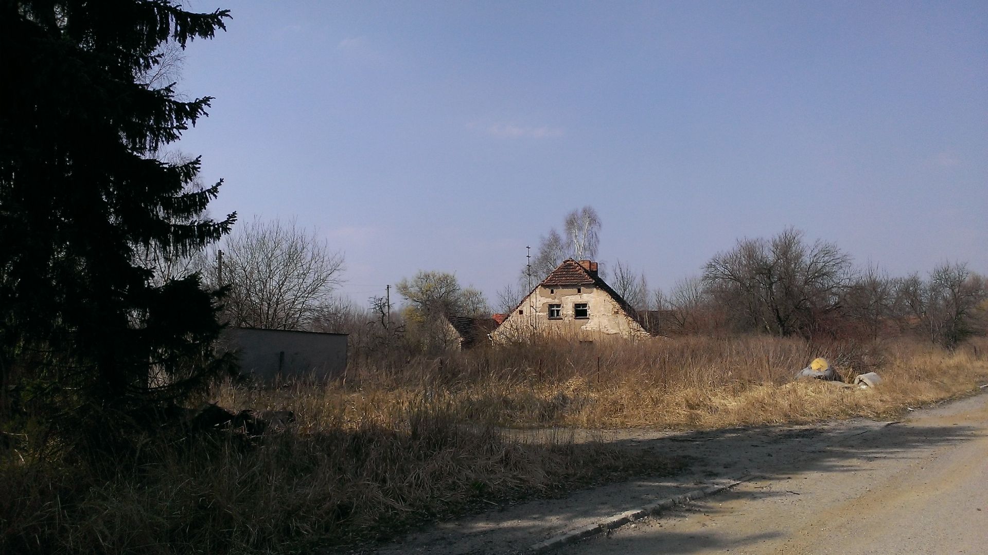 WP_20150324_011.jpg