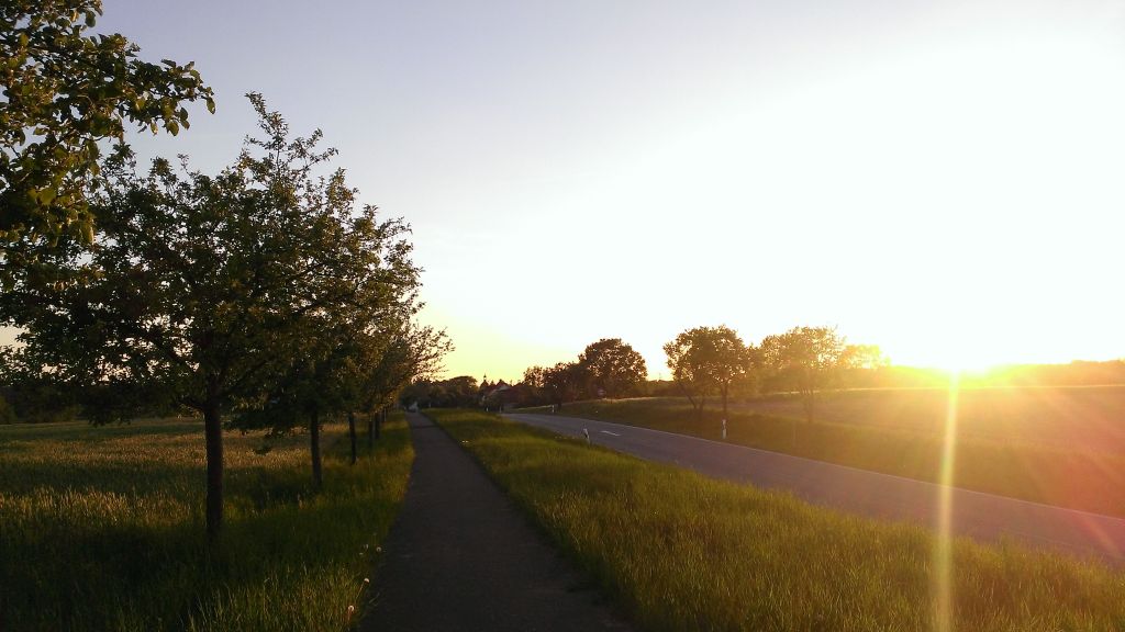 WP_20150510_008.jpg